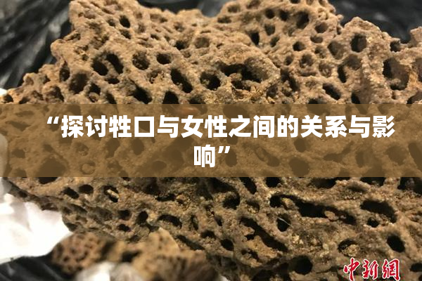 “探讨牲口与女性之间的关系与影响”