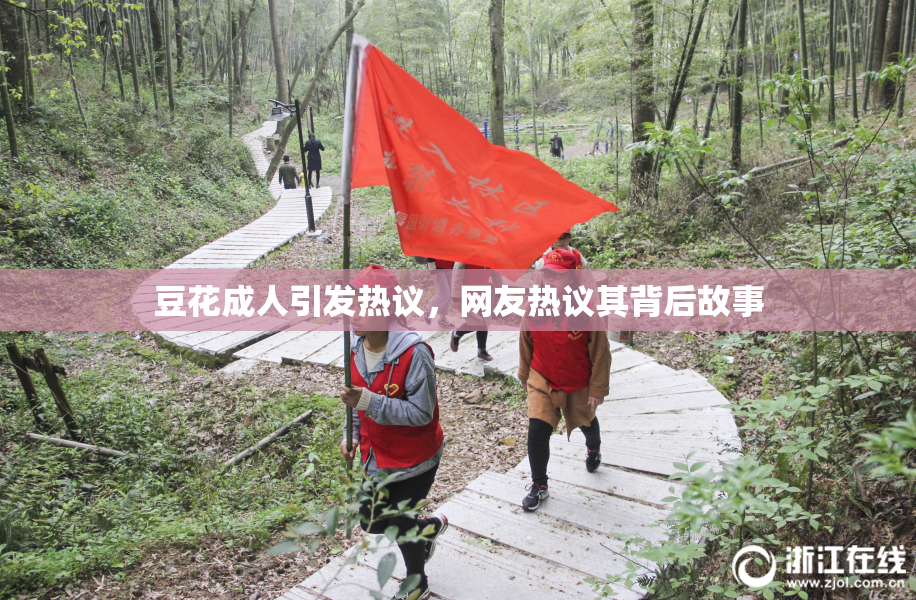 豆花成人引发热议，网友热议其背后故事