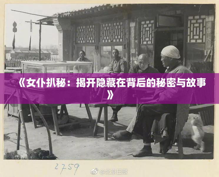 《女仆扒秘：揭开隐藏在背后的秘密与故事》