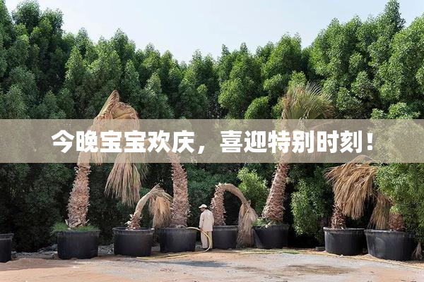 今晚宝宝欢庆，喜迎特别时刻！