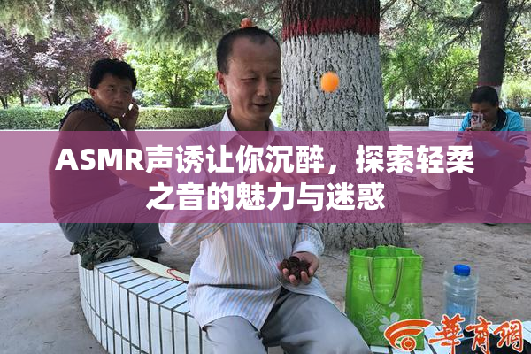 ASMR声诱让你沉醉，探索轻柔之音的魅力与迷惑