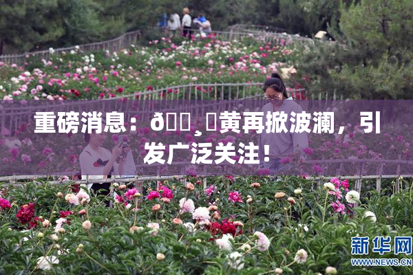 重磅消息：🌸‌黄再掀波澜，引发广泛关注！