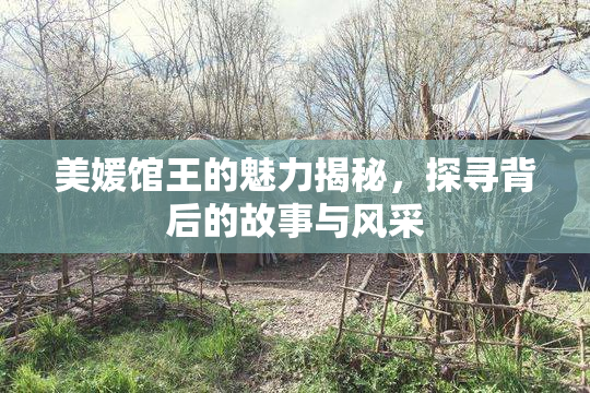 美媛馆王的魅力揭秘，探寻背后的故事与风采