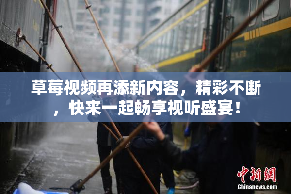 草莓视频再添新内容，精彩不断，快来一起畅享视听盛宴！