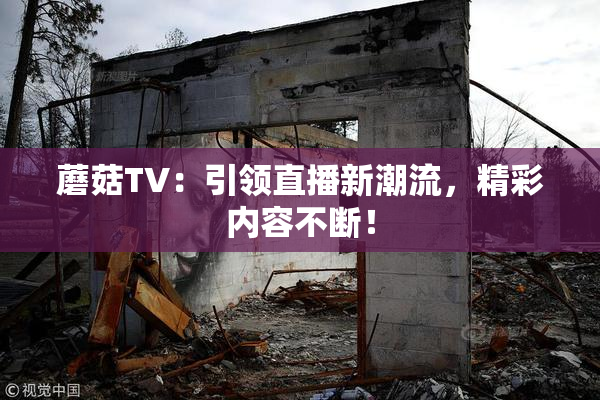 蘑菇TV：引领直播新潮流，精彩内容不断！