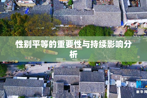 性别平等的重要性与持续影响分析
