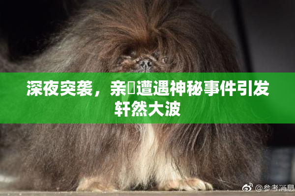 深夜突袭，亲妺遭遇神秘事件引发轩然大波