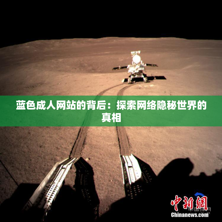 蓝色成人网站的背后：探索网络隐秘世界的真相