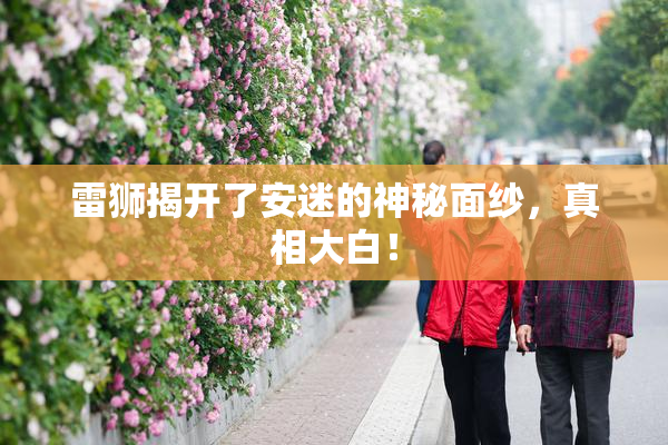 雷狮揭开了安迷的神秘面纱，真相大白！