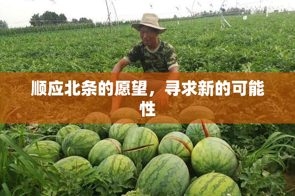 顺应北条的愿望，寻求新的可能性