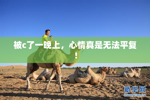被c了一晚上，心情真是无法平复！