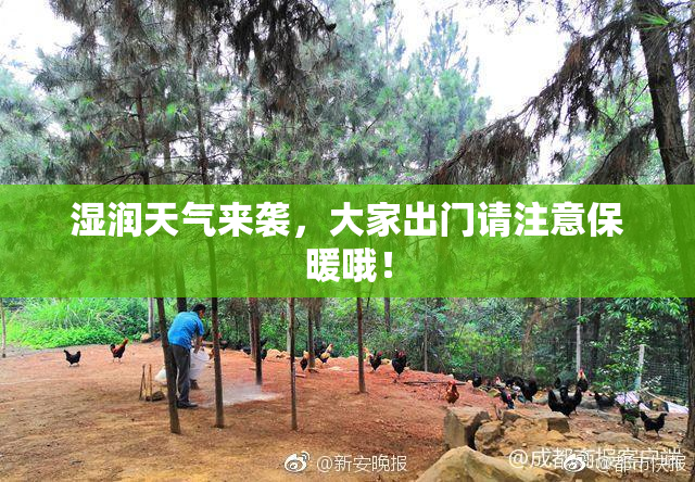 湿润天气来袭，大家出门请注意保暖哦！