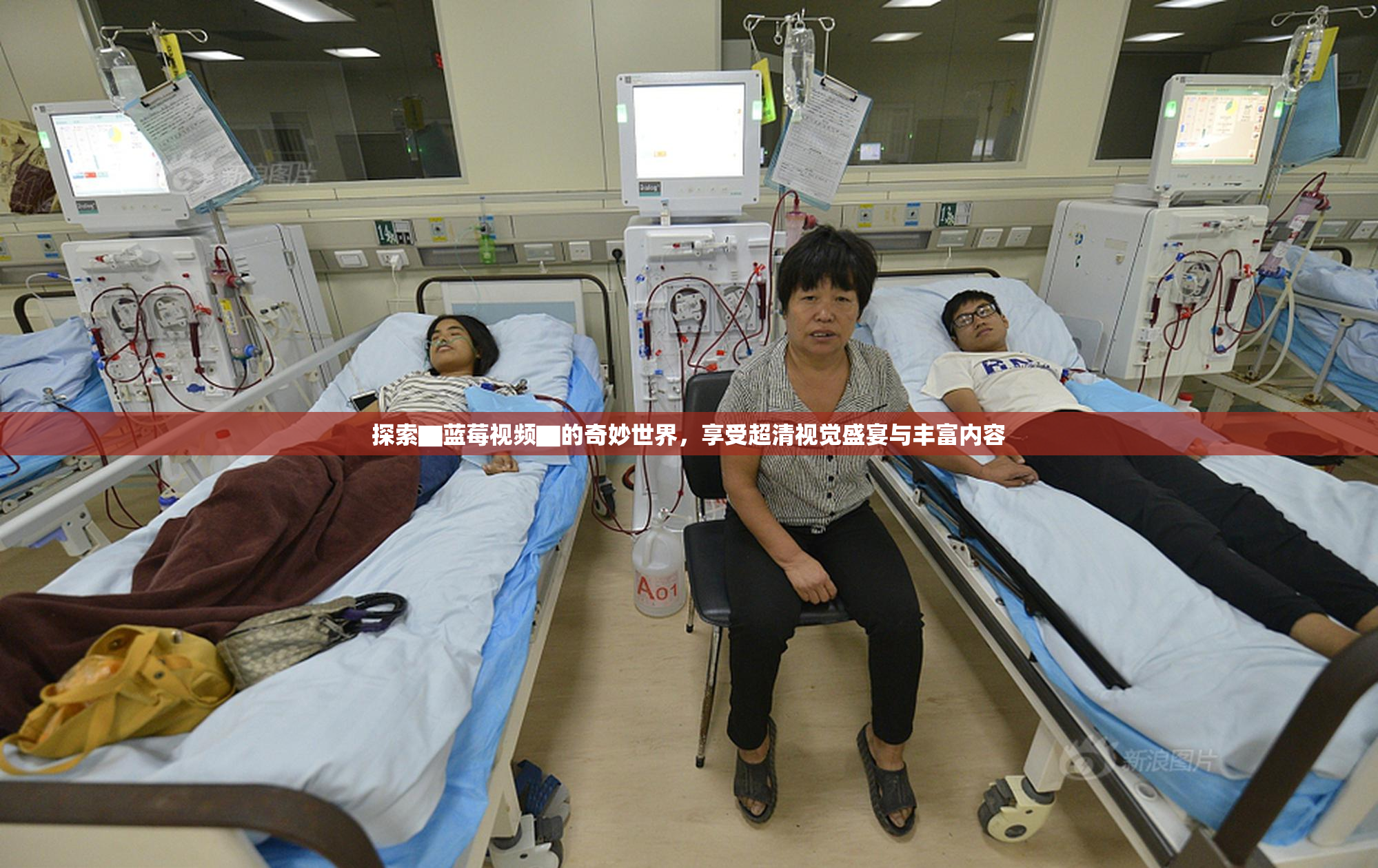 探索▇蓝莓视频▇的奇妙世界，享受超清视觉盛宴与丰富内容