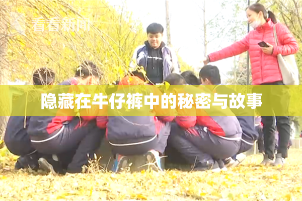 隐藏在牛仔裤中的秘密与故事