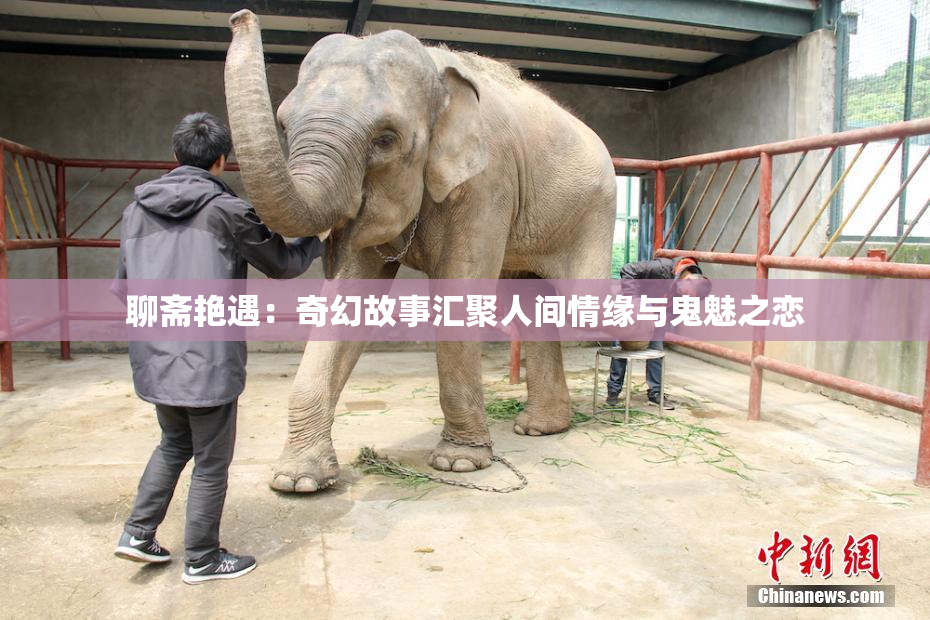 聊斋艳遇：奇幻故事汇聚人间情缘与鬼魅之恋