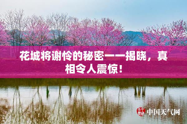 花城将谢怜的秘密一一揭晓，真相令人震惊！