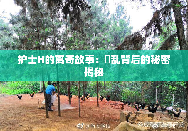 护士H的离奇故事：婬乱背后的秘密揭秘