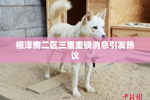 相泽南二区三重重磅消息引发热议