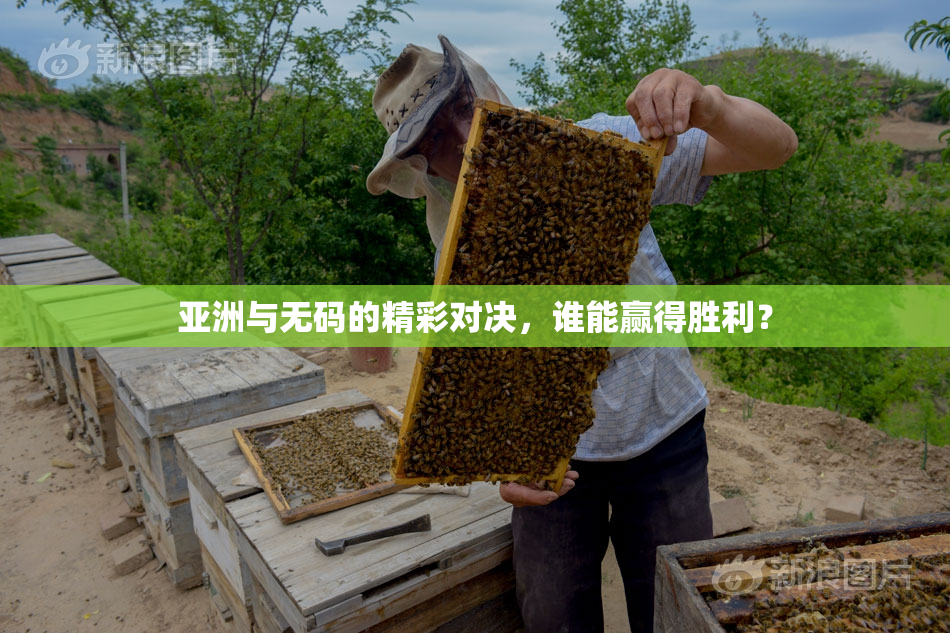 亚洲与无码的精彩对决，谁能赢得胜利？