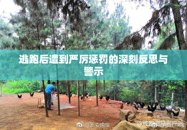 逃跑后遭到严厉惩罚的深刻反思与警示