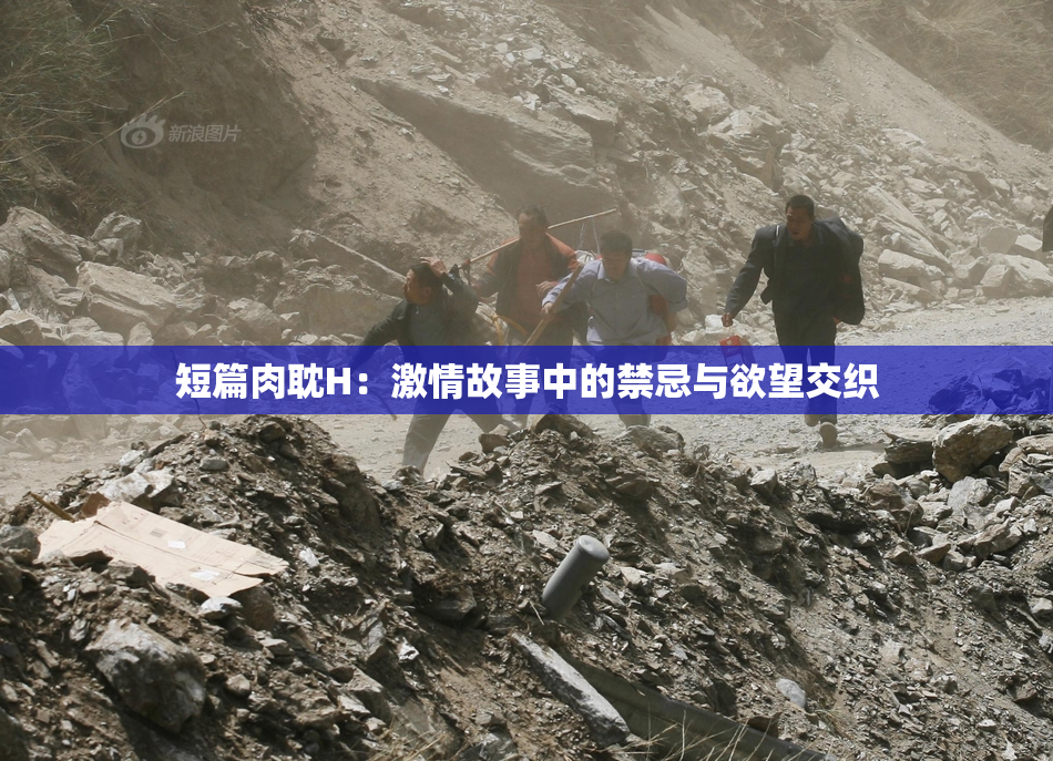 短篇肉耽H：激情故事中的禁忌与欲望交织