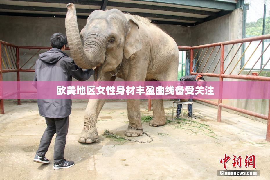 欧美地区女性身材丰盈曲线备受关注