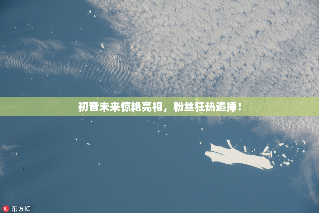 初音未来惊艳亮相，粉丝狂热追捧！