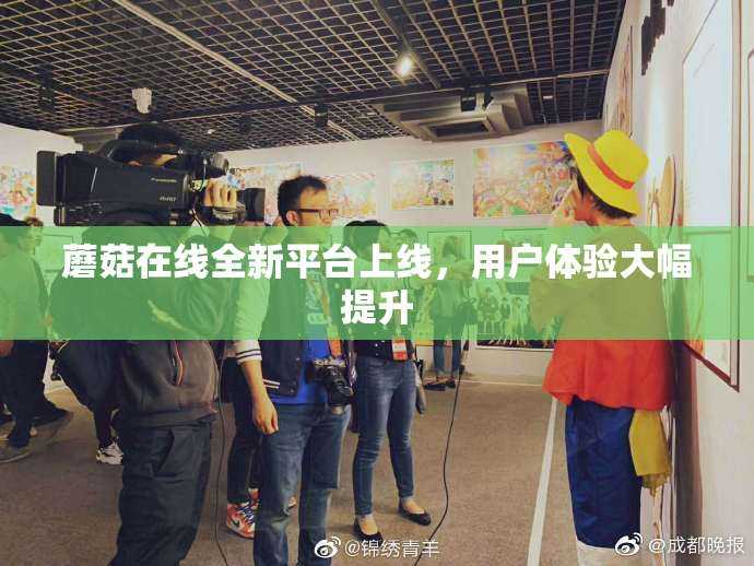 蘑菇在线全新平台上线，用户体验大幅提升