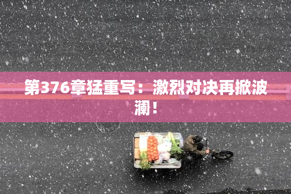 第376章猛重写：激烈对决再掀波澜！