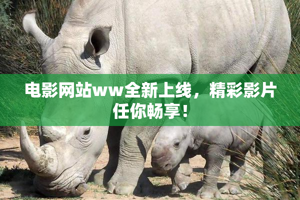 电影网站ww全新上线，精彩影片任你畅享！