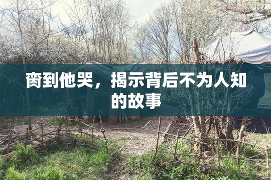 脔到他哭，揭示背后不为人知的故事
