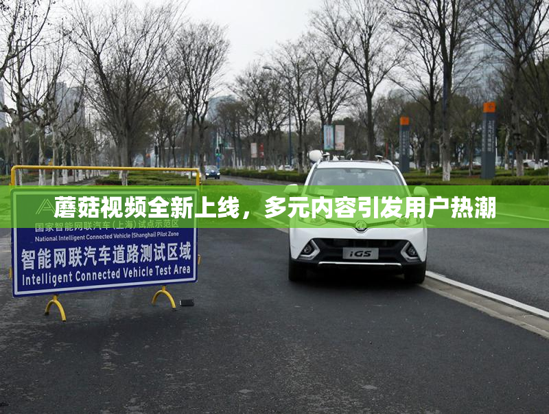 蘑菇视频全新上线，多元内容引发用户热潮