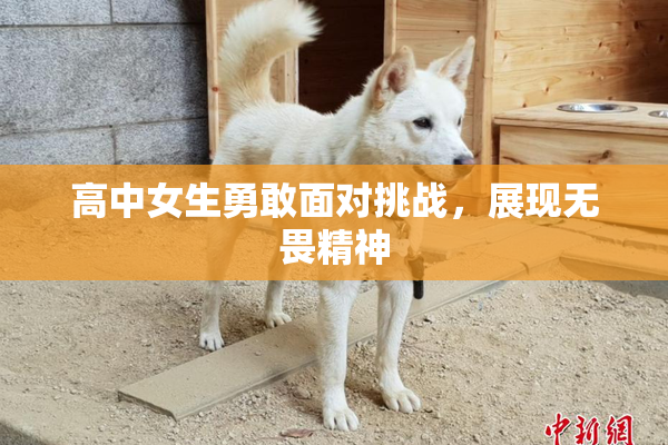 高中女生勇敢面对挑战，展现无畏精神