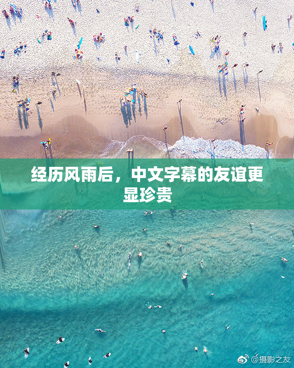 经历风雨后，中文字幕的友谊更显珍贵