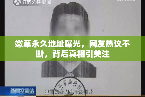 嫩草永久地址曝光，网友热议不断，背后真相引关注