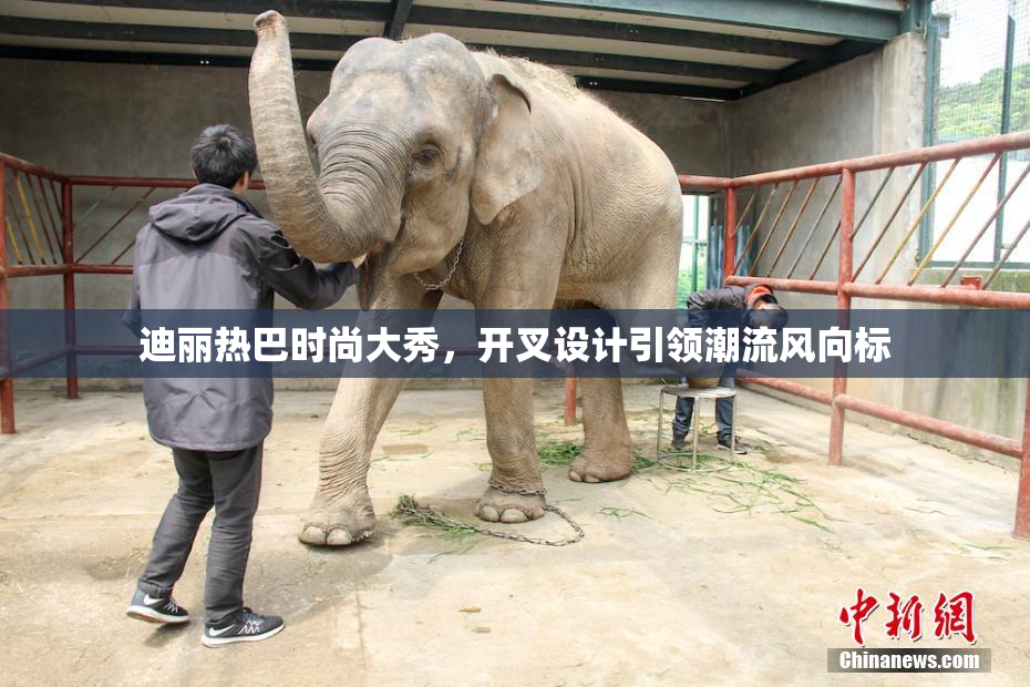 迪丽热巴时尚大秀，开叉设计引领潮流风向标