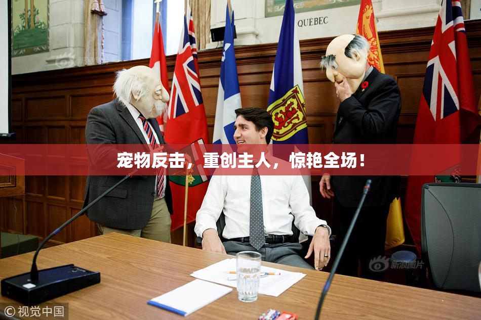 宠物反击，重创主人，惊艳全场！