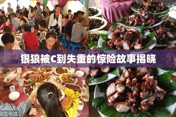 银狼被C到失重的惊险故事揭晓