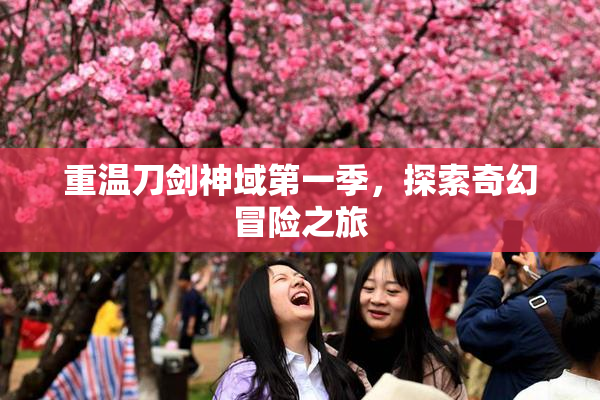 重温刀剑神域第一季，探索奇幻冒险之旅