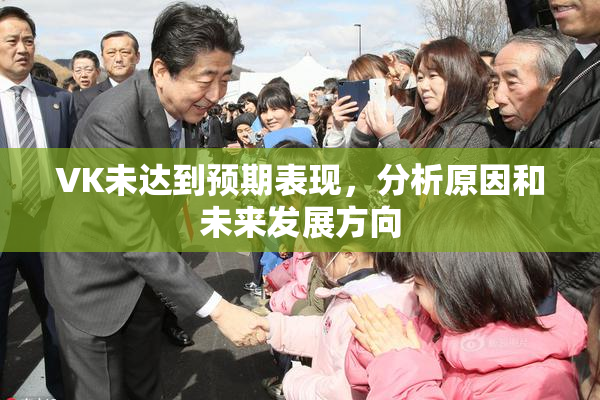 VK未达到预期表现，分析原因和未来发展方向