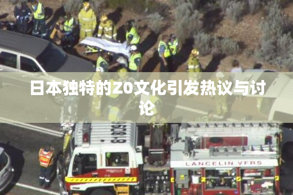 日本独特的Z0文化引发热议与讨论