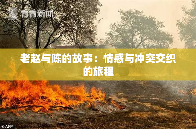 老赵与陈的故事：情感与冲突交织的旅程