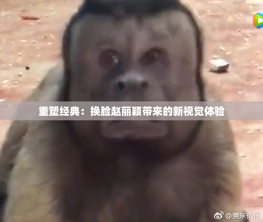重塑经典：换脸赵丽颖带来的新视觉体验