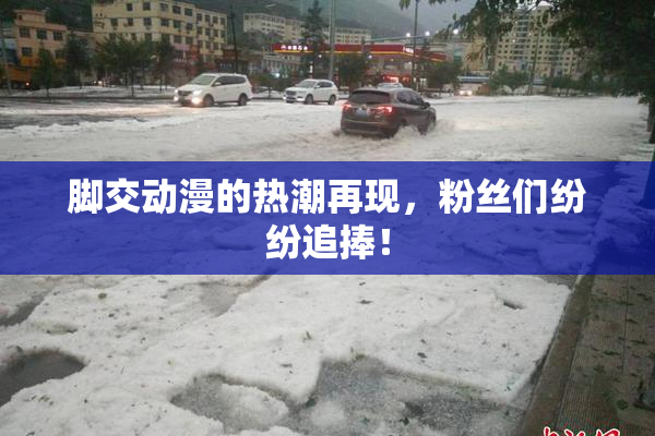 脚交动漫的热潮再现，粉丝们纷纷追捧！