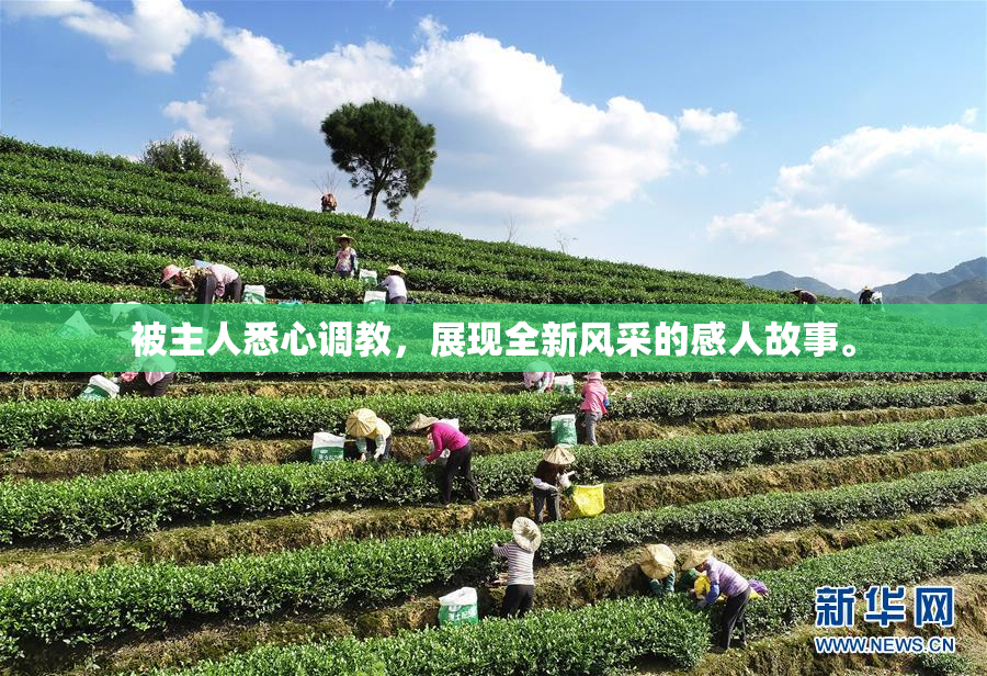 被主人悉心调教，展现全新风采的感人故事。