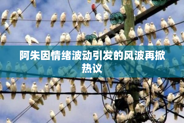 阿朱因情绪波动引发的风波再掀热议