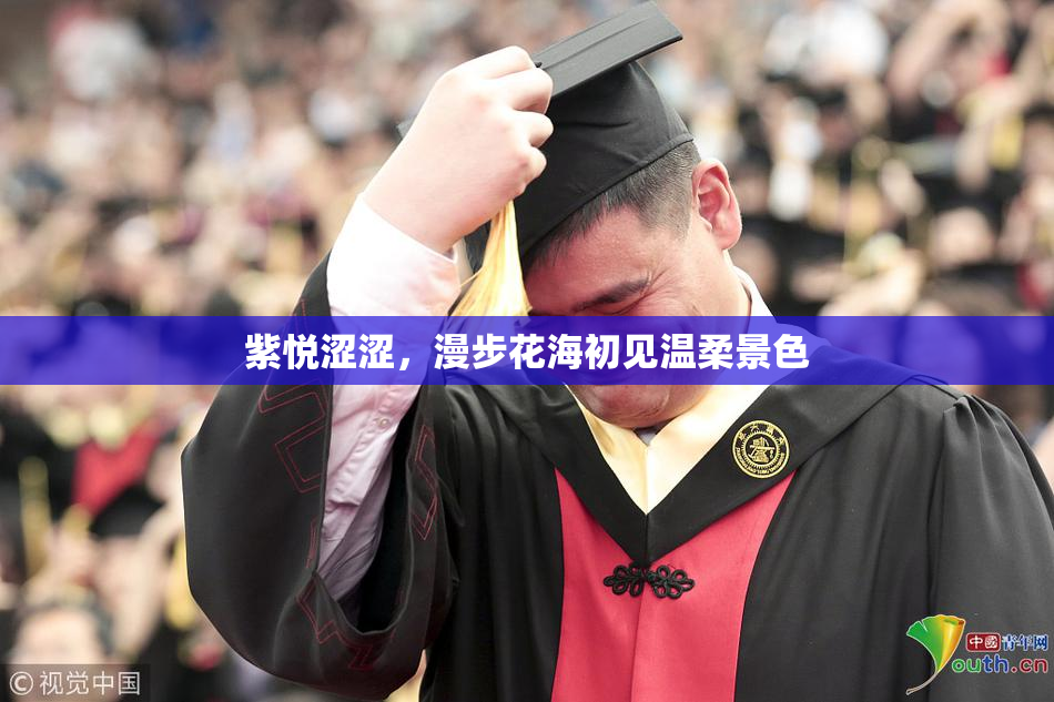 紫悦涩涩，漫步花海初见温柔景色