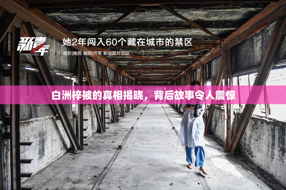 白洲梓被的真相揭晓，背后故事令人震惊