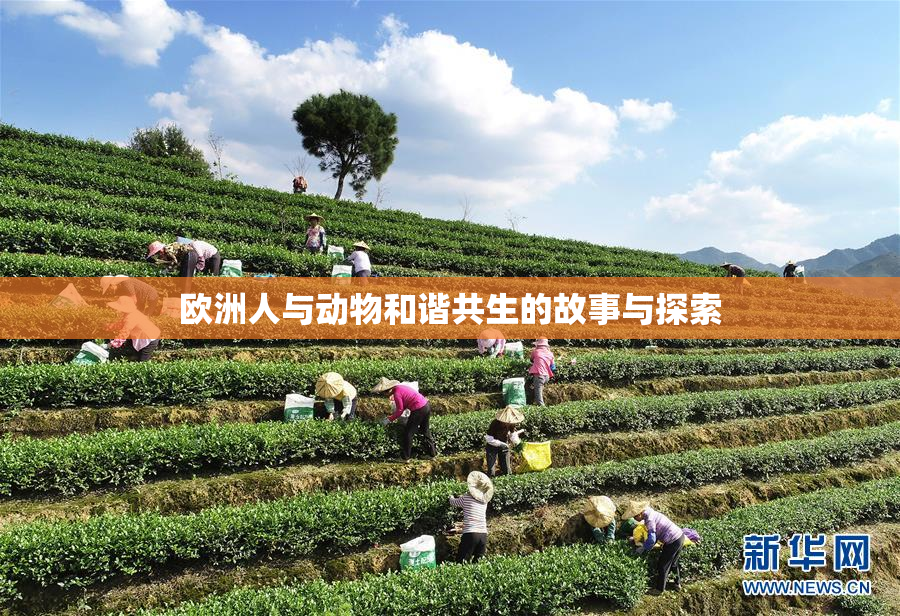 欧洲人与动物和谐共生的故事与探索