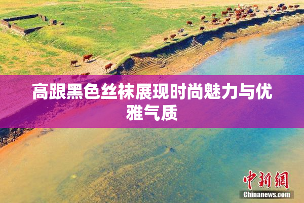 高跟黑色丝袜展现时尚魅力与优雅气质